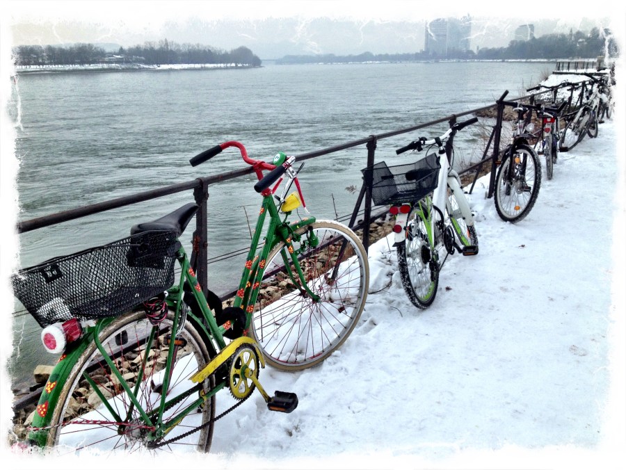 Bike parking on the Rhine
