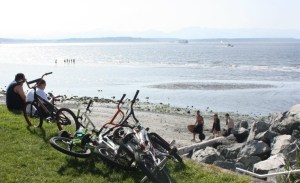 Alki waterfront