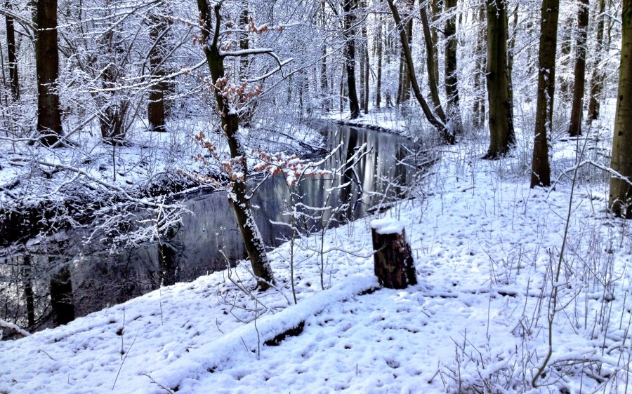 Quiet spots in the Amsterdam forest, a short bikeride from the city centre