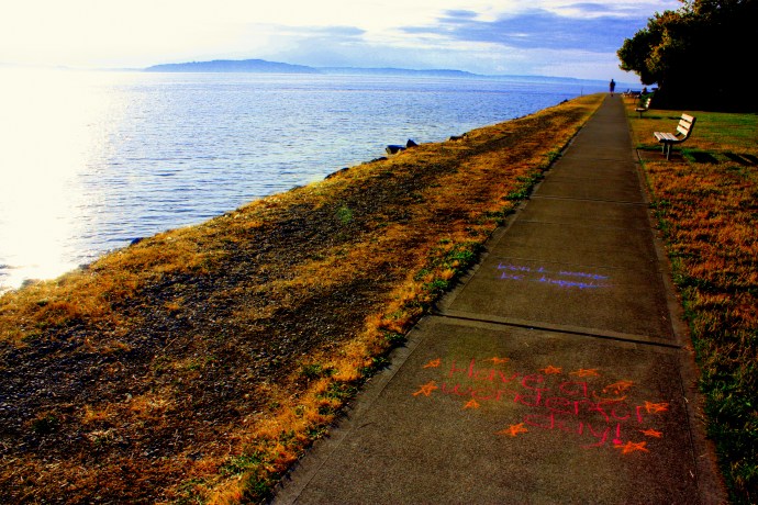 West Seattle waterfront: spaces for pedestrians, bikes and sunshine attitudes...