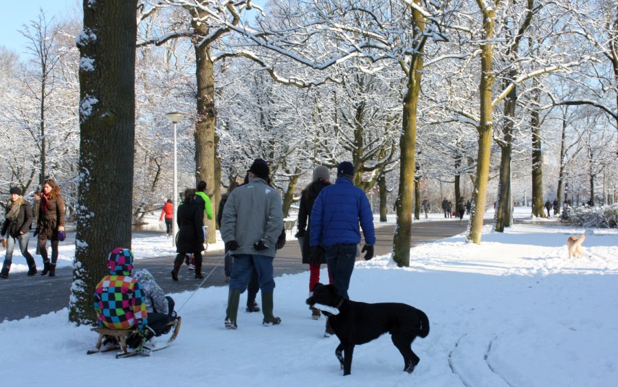 Despite the lack of hills for sleeding, most Dutch families still own a sleed