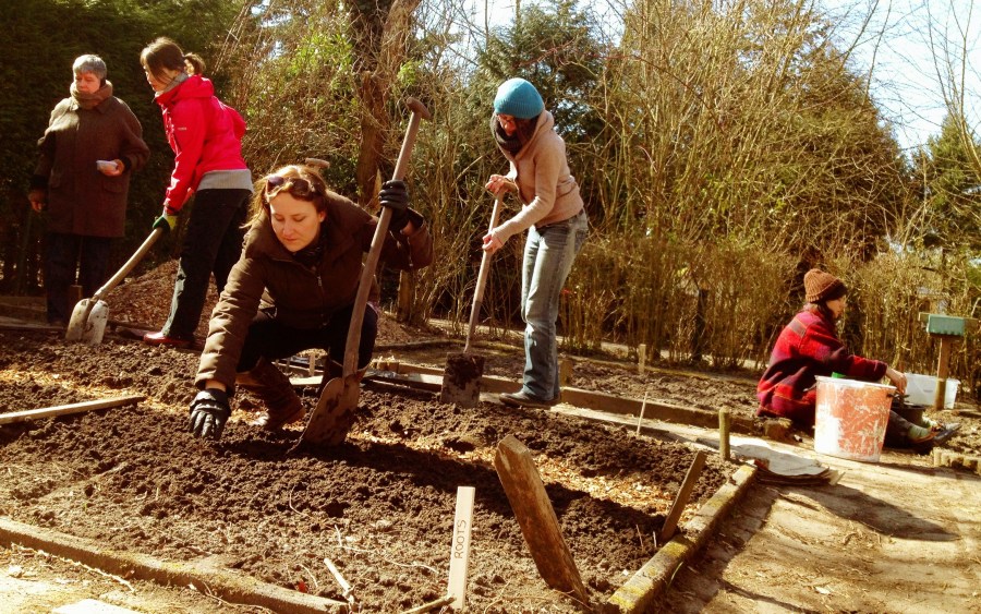 Sunshine returns to plant the biodynamic bed...