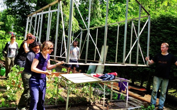 We adopted a used greenhouse, which took a bit of work and logistics, but finally it is up and ready and looking great! (June 2013)
