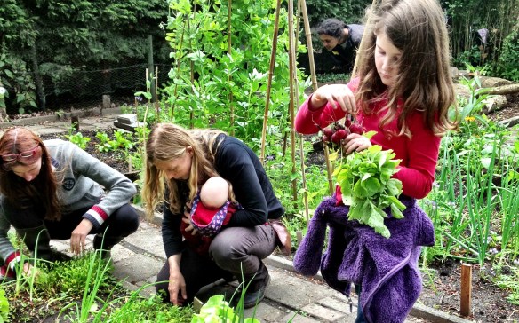 Getting the gardeners started young (June 2013)