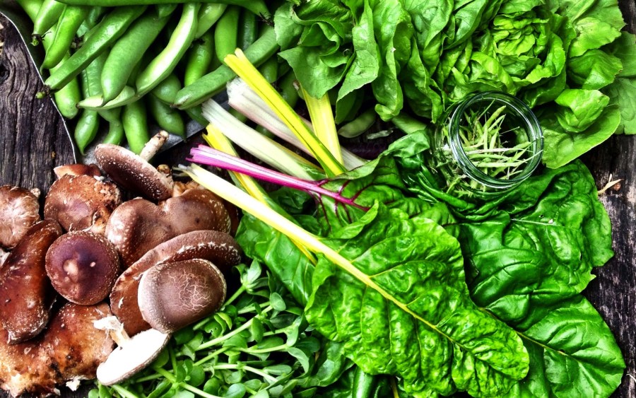 Missing my summer meals...