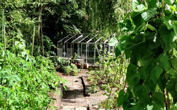 The transition from empty fields to gorgeous green vines in a few months was impressive.