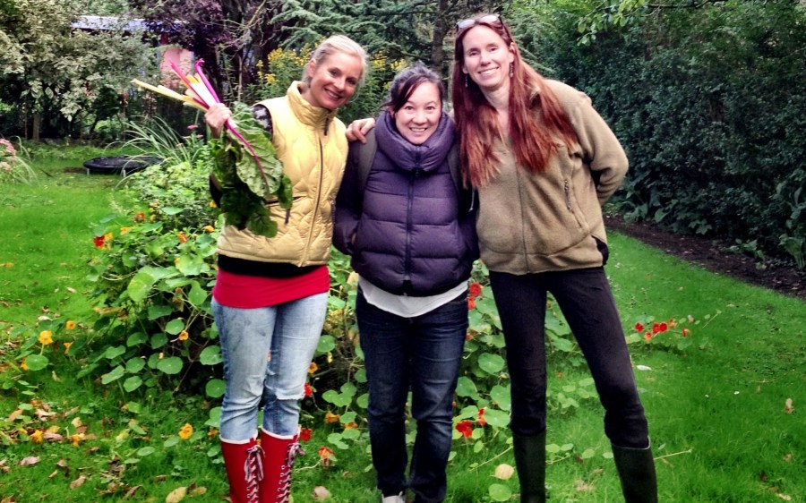 Harvest Celebrations (September 2013)