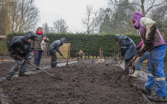 Turning the beds over was an arduous task: sometimes in the rain when the claylike soil was heavy and cumbersome; sometimes when the air temperatures were well below freezing and the frozen Earth was less inviting to our sovels. But we persisted, carefully turning every bed, from January- April 2013. (This photo and the finch: Barbara Pavie).