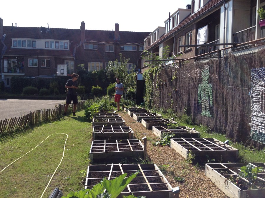 Visiting an after school programme garden. The teacher explained to us that circa 15 children are responsible for a square garden, after which they harvest the square and learn to cook the food they grew. 