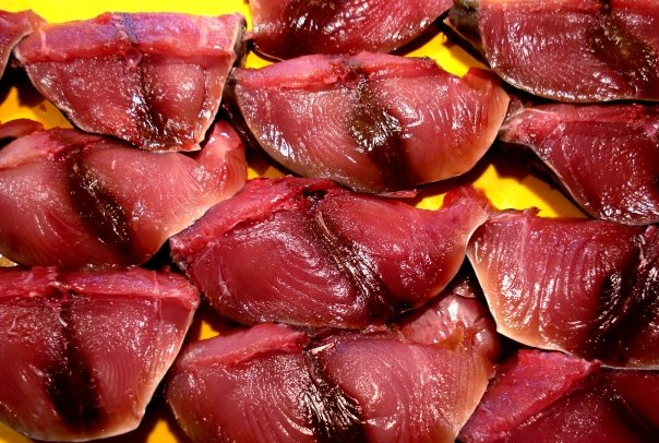 Bluefin Tuna includes three different species – the Pacific, Southern and Atlantic. Any of which could end up on your plate. Bluefin are prized for their velvety red flesh that lends itself exquisitely to being eaten raw as sashimi. High-end restaurants in New York and other cities serve Bluefin as a delicacy, and food connoisseurs flock to taste a piece of Heaven while it’s still here on earth – or in the ocean as it were.