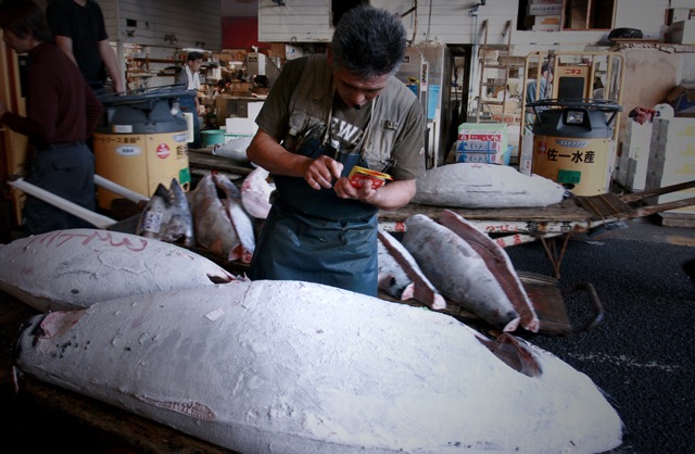 When discussing international trade of tuna or other food products, there is also the “product versus process” issue: a country can specify the quality of the food product, but not the process by which it is produced. This means that particular fishing methods (e.g. use of specific hook types, bycatch of other marine species) that may seem unsustainable are not reason enough to ban importation of a given fish product. Image: Bluefin tuna in Tskiji Market, taken by Mike Markovina/Marine Photobank